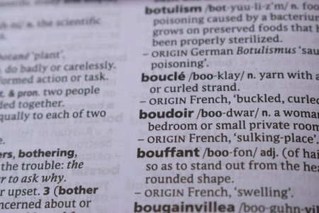 Close Up Of English Dictionary Page With Word - Boudoir