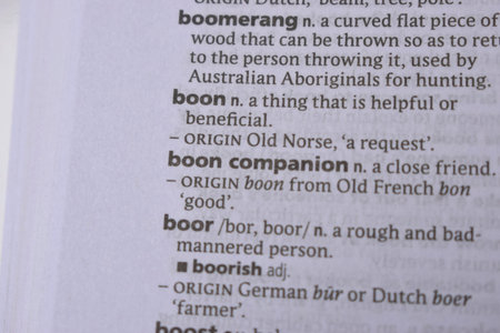 Close Up Of English Dictionary Page With Word - Boon