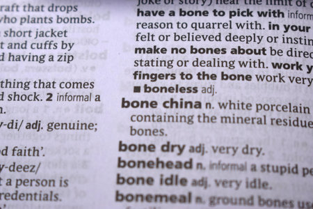 English Definition Dictionary Page Close Up Of Printed Word Of Bone china