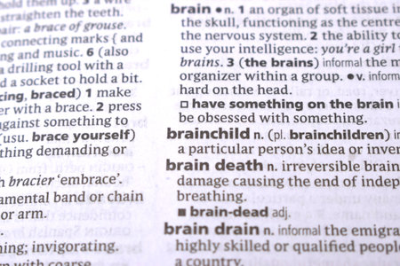 Close Up Of English Dictionary Page With Wordの写真素材