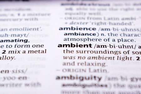 Close Up Of English Dictionary Page With Word - ambient