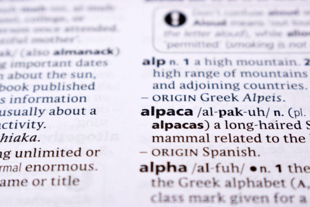 English Dictionary Page Close Up With the Word Of -alpaca