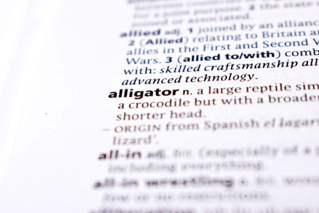Close Up Of English Dictionary Page With Word - alligator