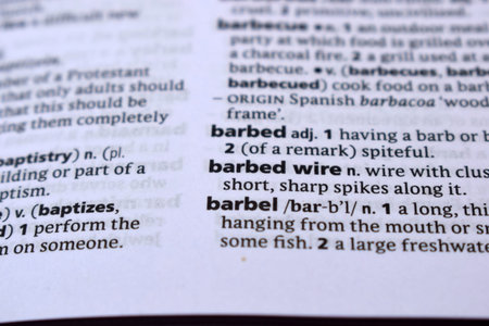 Close Up Of English Dictionary Page With Word - barbed wire