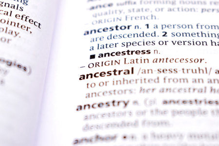 English Dictionary Page Close Up With the Word Of -ancestralの写真素材