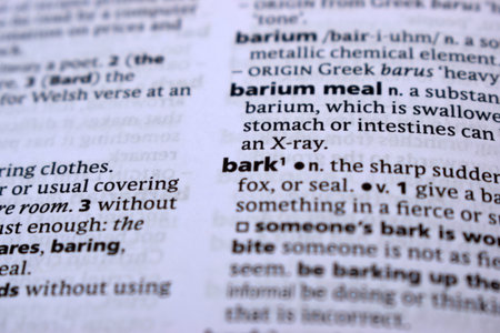 Close Up Of English Dictionary Page With Word - barkの写真素材