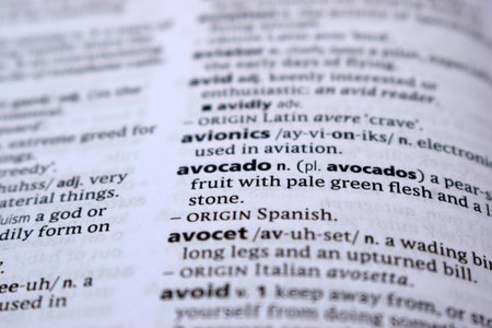 Close Up Of English Dictionary Page With Word - avocadoの写真素材