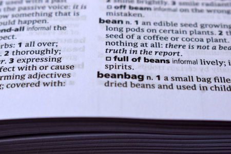English Definition Dictionary Page Close Up Of Printed Word Of -beanbagの写真素材