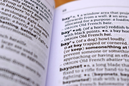 English Definition Dictionary Page Close Up Of Printed Word Of -bay