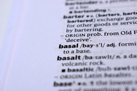 English Dictionary Page Close Up With the Word Of -basalの写真素材