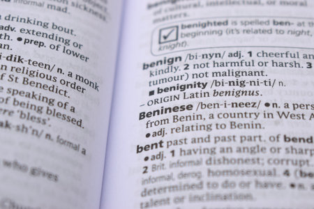 Close Up Of English Dictionary Page With Word - beninese