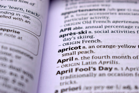 English Definition Dictionary Page Close Up Of Printed Word Of -apricot