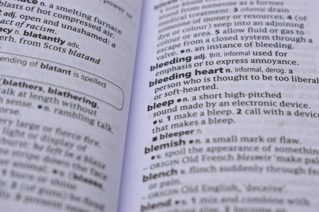 Close Up Of English Dictionary Page With Word