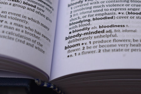 Close Up Of English Dictionary Page With Wordの写真素材