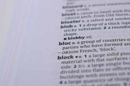 Close Up Of English Dictionary Page With Word - blocの写真素材