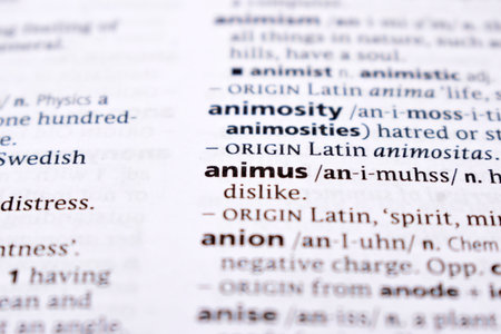 English Definition Dictionary Page Close Up Of Printed Word Of -animusの写真素材