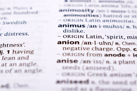 Close Up Of English Dictionary Page With Word - anion