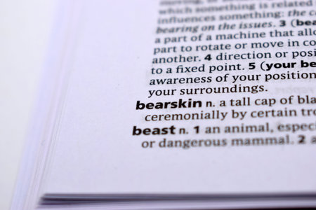 Close Up Of English Dictionary Page With Word - bearskin