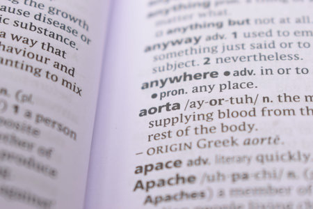English Dictionary Page Close Up With the Word Of -aorta