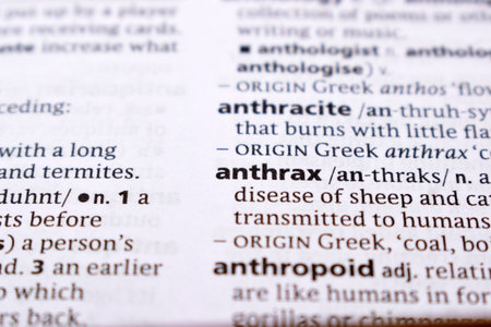 Close Up Of English Dictionary Page With Word - anthraxの写真素材