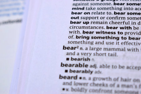 Close Up Of English Dictionary Page With Word - bear