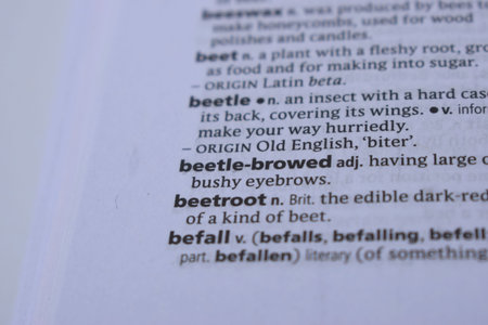Close Up Of English Dictionary Page With Word - beetroot