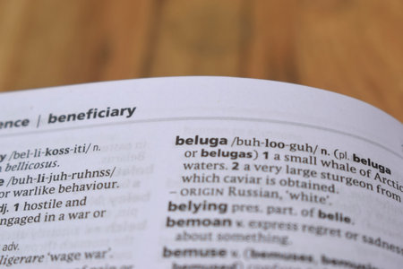 English Definition Dictionary Page Close Up Of Printed Word Of -beluga