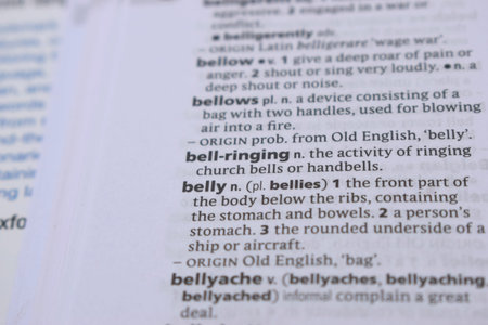 Close Up Of English Dictionary Page With Word - belly