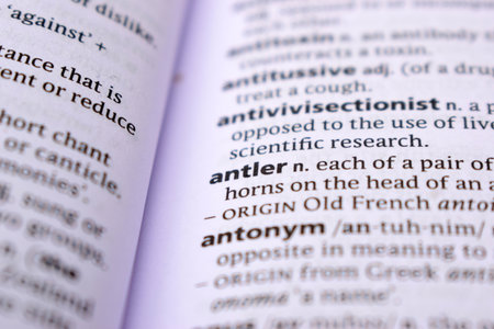 English Definition Dictionary Page Close Up Of Printed Word Of -antlerの写真素材