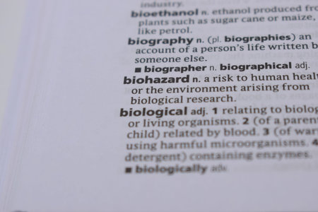 Close Up Of English Dictionary Page With Word