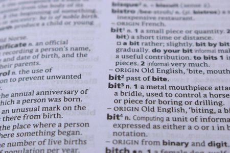 Close Up Of English Dictionary Page With Word - bitの写真素材