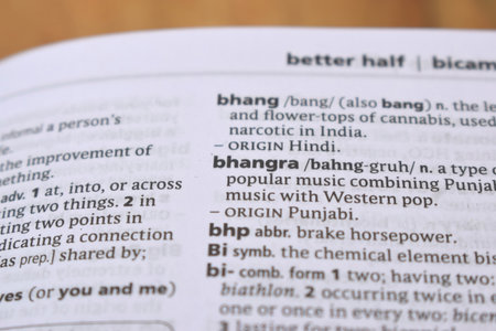 English Dictionary Page Close Up With the Word Of -bhangraの写真素材