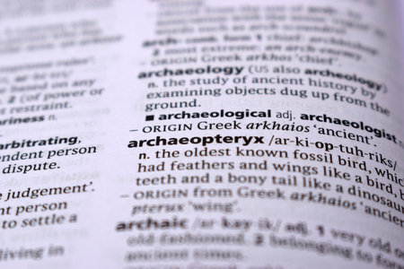 English Definition Page Close Up Of Printed Word Of -archaeopteryxの写真素材