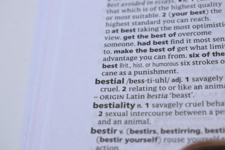 Close Up Of English Dictionary Page With Wordの写真素材