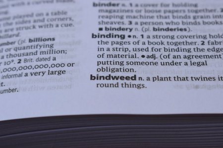 English Dictionary Page Close Up With the Word Of -bindweedの写真素材