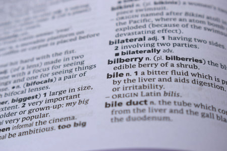 English Definition Dictionary Page Close Up Of Printed Word Of -bilberry