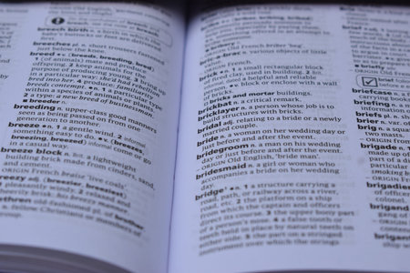 Definition Of English Dictionary Close Up Of Page Print With Word - bride