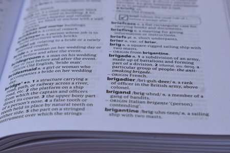 Definition Of English Dictionary Close Up Of Page Print With Word - brigadierの写真素材