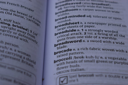 English Dictionary Page Print Close Up With The Word Meaning Of -broadsword