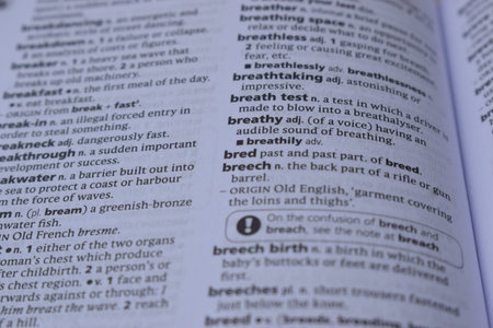 Definition Of English Dictionary Close Up Of Page Print With Word - bred