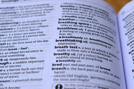 English Dictionary Page Print Close Up With The Word Meaning Of -breathtaking