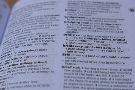 Definition Of English Dictionary Close Up Of Page Print With Word - bridleの写真素材