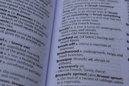 Close Up Of English Definition Dictionary Printed Page Word Of - brushwoodの写真素材