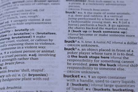 English Dictionary Page Close Up With The Word Of Printの写真素材