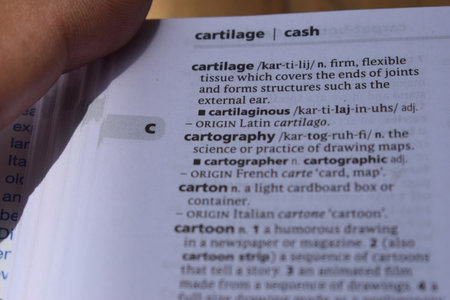 Definition Of English Dictionary Close Up Of Page Print With Word - cartographyの写真素材