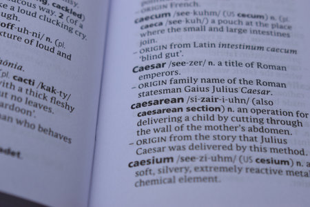 English Dictionary Page Print Close Up With The Word Meaning Of -caesareanの写真素材