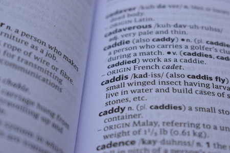English Dictionary Page Close Up With The Word Of Printの写真素材