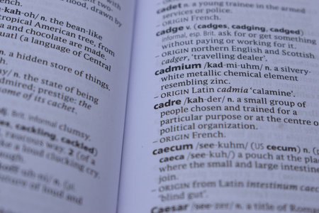 Definition Of English Dictionary Close Up Of Page Print With Word - cadreの写真素材