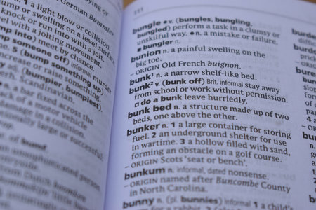 Definition Of English Dictionary Close Up Of Page Print With Word - bunk bedの写真素材