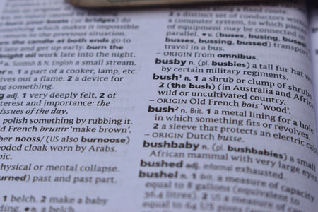 English Dictionary Page Close Up With The Word Of Print -bushの写真素材